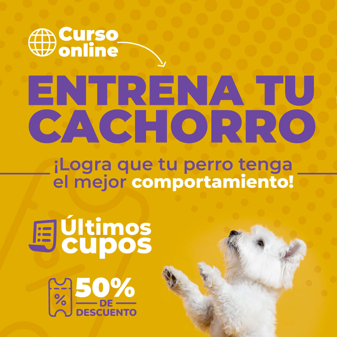 Entrenamiento de cachorros