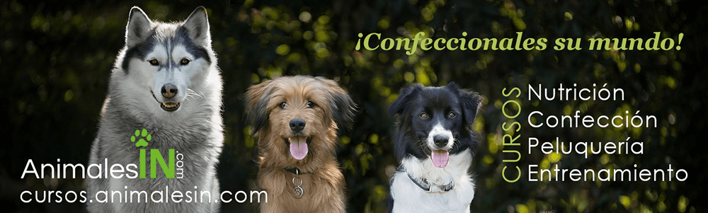 Portada de los cursos de animales para emprender