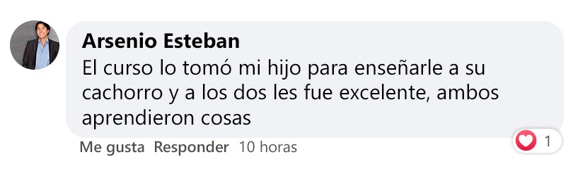 Testimonios de nuestros alumnos