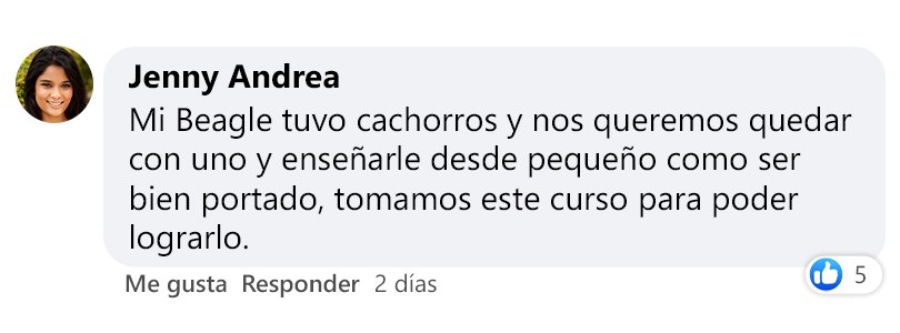 Testimonios de nuestros alumnos