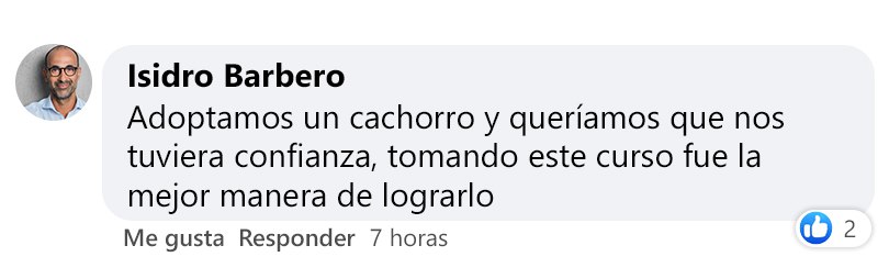 Testimonios de nuestros alumnos Testimonios de nuestros alumnos