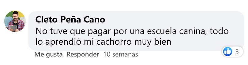 Testimonios de nuestros alumnos Testimonios de nuestros alumnos
