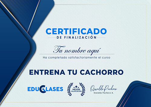Certificado al terminar el curso