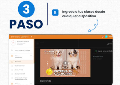 Paso número 3 para realizar el pago