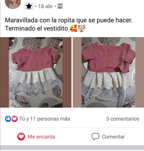 Testimonio de confección para perros