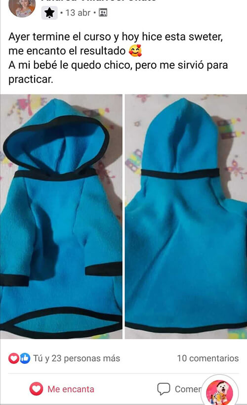 Testimonio de confeccion para perros 5 Testimonio de confección para perros